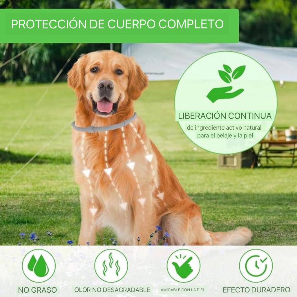 COLLAR MASCOTAS ANTIPULGAS .