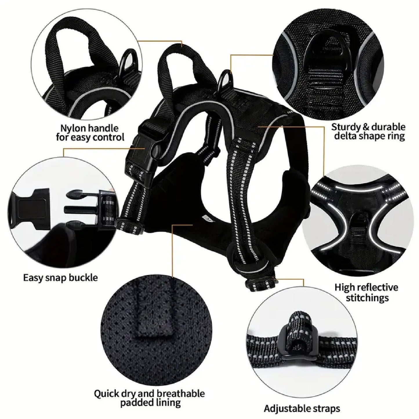 ARNES COLLAR PERROS GRANDES CON CORREA.