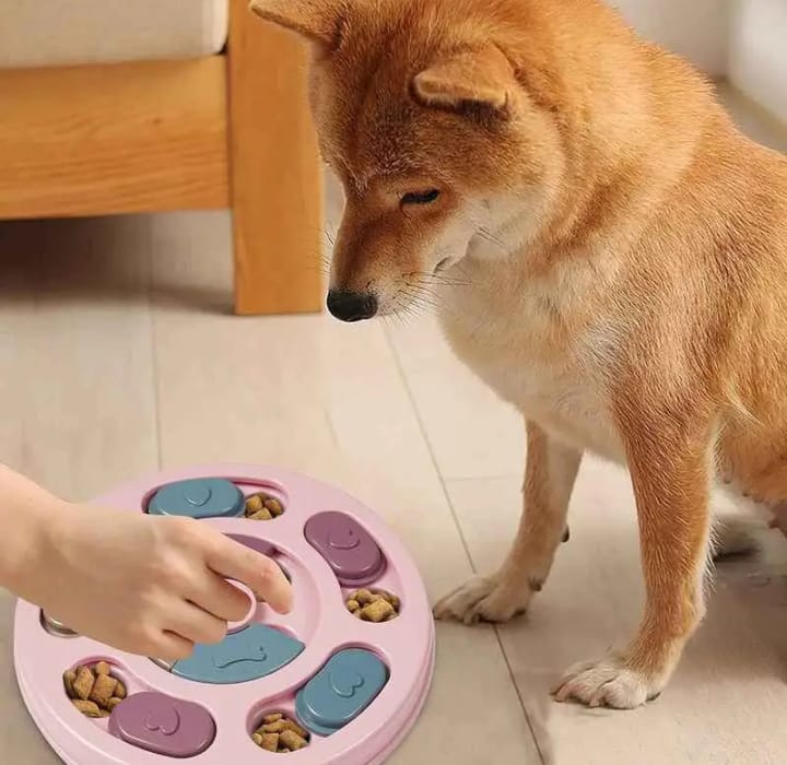 COMEDOR DIDACTICO PARA MASCOTAS  PERROS