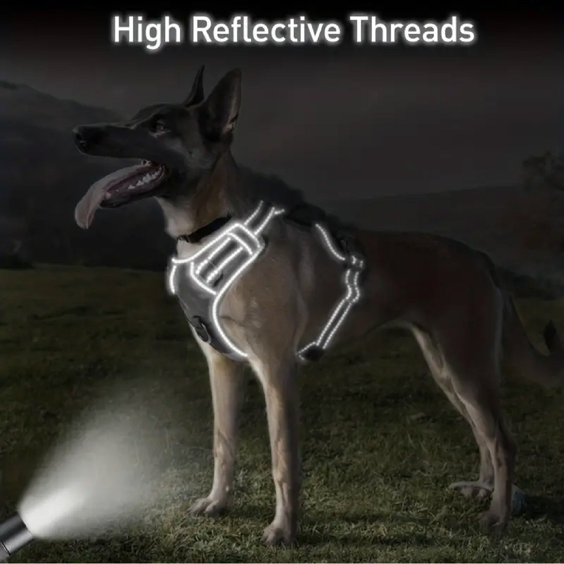 ARNES COLLAR PERROS GRANDES CON CORREA.