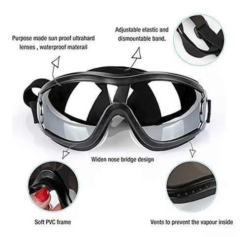 GAFAS DE SOL PARA PERRO.