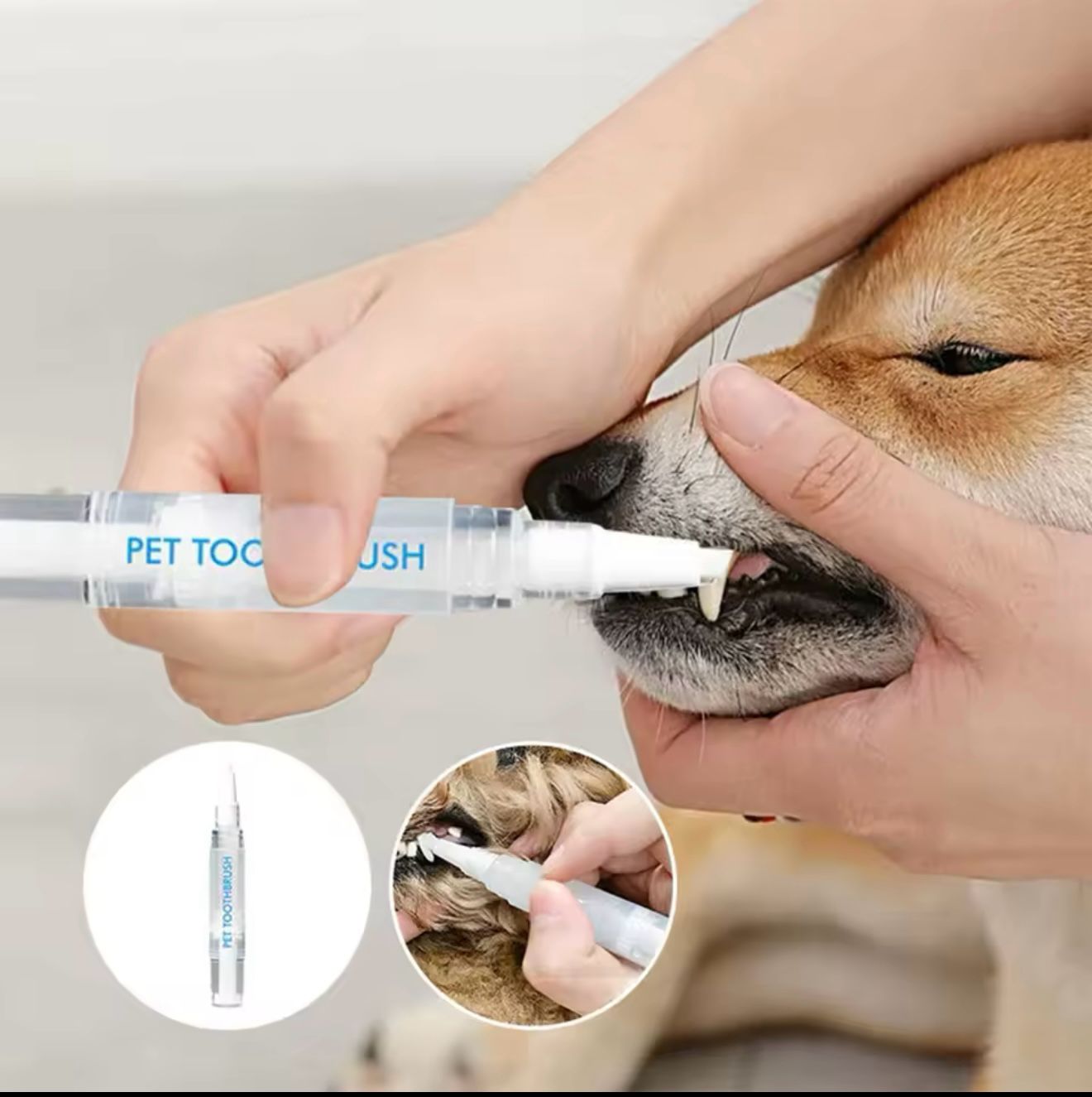 CEPILLO DENTAL MASCOTAS.