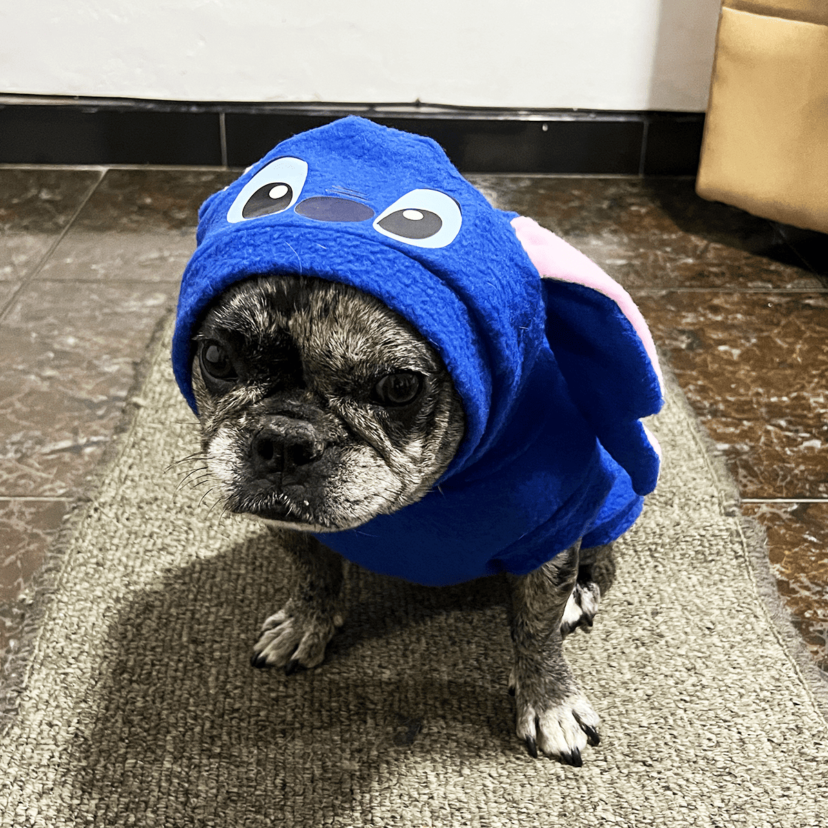DISFRAZ MASCOTAS STITCH STICH.