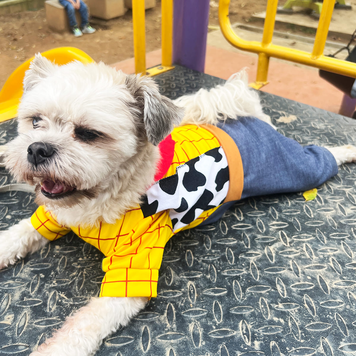 DISFRAZ PARA MASCOTAS WOODY.