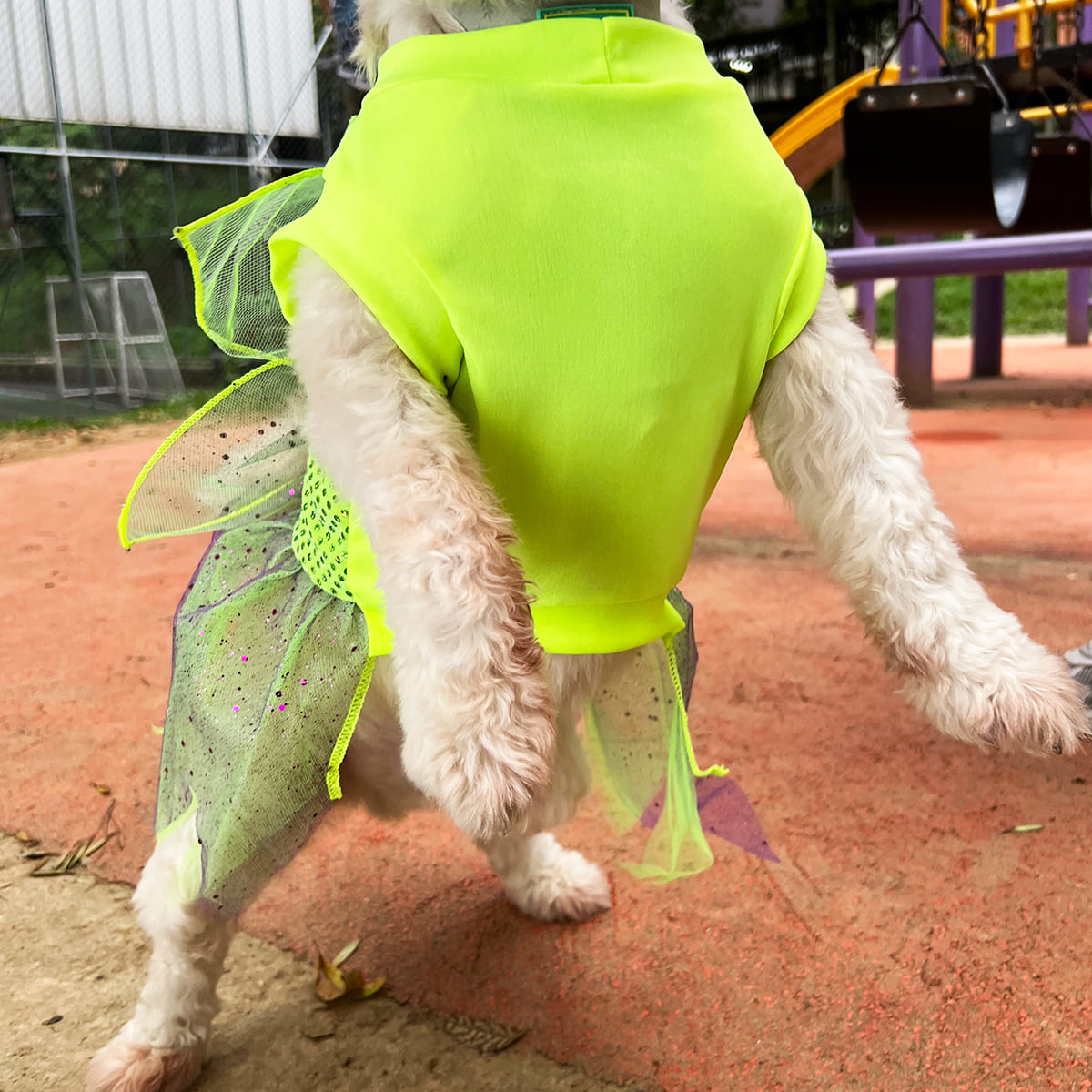 DISFRAZ PARA MASCOTAS HADA VERDE.