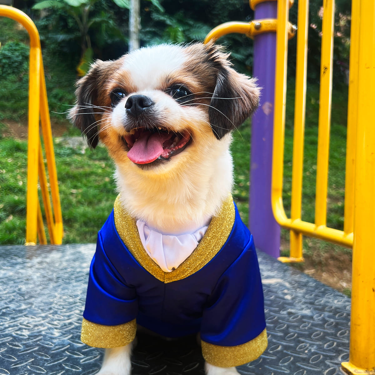 DISFRAZ PARA MASCOTAS PRÍNCIPE.