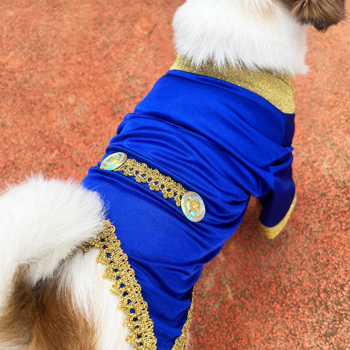 DISFRAZ PARA MASCOTAS PRÍNCIPE.