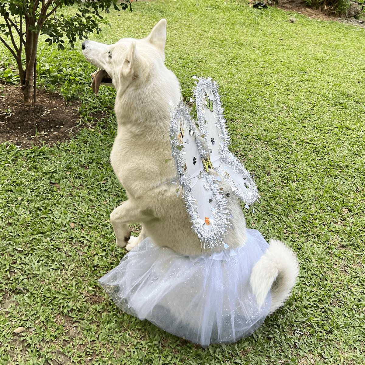 DISFRAZ PARA MASCOTAS ANGEL.