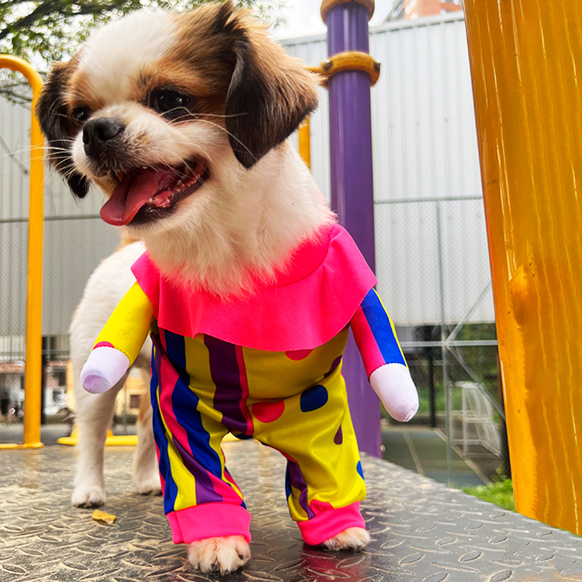 DISFRAZ PARA MASCOTAS PAYASITO.