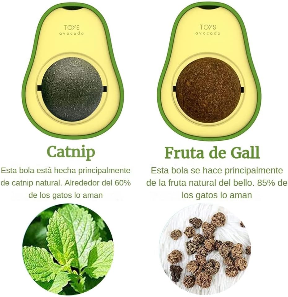 CANTNIP AGUACATE GATO