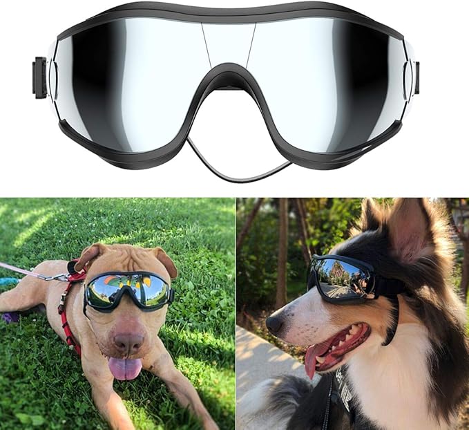 GAFAS DE SOL PARA PERRO.