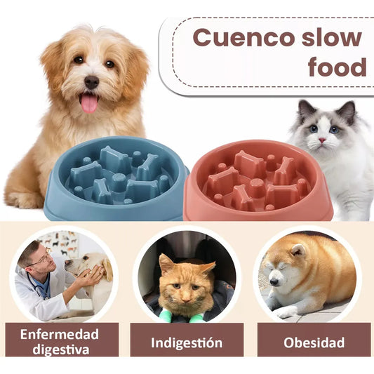 TAZA DE COMIDA PARA PETS.