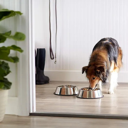 COMEDERO PLATO PARA PERROS Y GATOS EN ACERO INOXIDABLE 22CM COLOR PLATEADO.