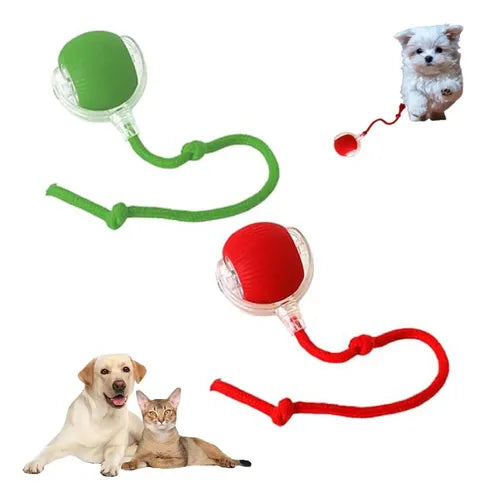 PELOTA INTERACTIVA PARA MASCOTAS RECARGABLE AUTOMATICA.
