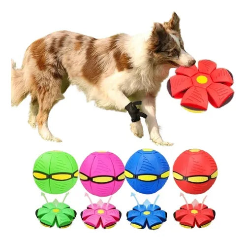 PELOTA VOLADORA DE JUGUETE PARA PERROS.