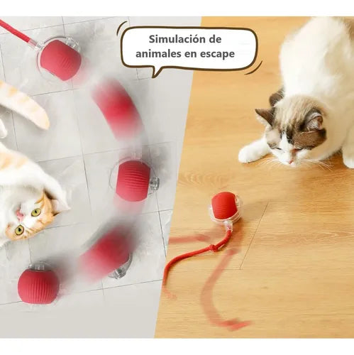 PELOTA INTERACTIVA PARA MASCOTAS RECARGABLE AUTOMATICA.