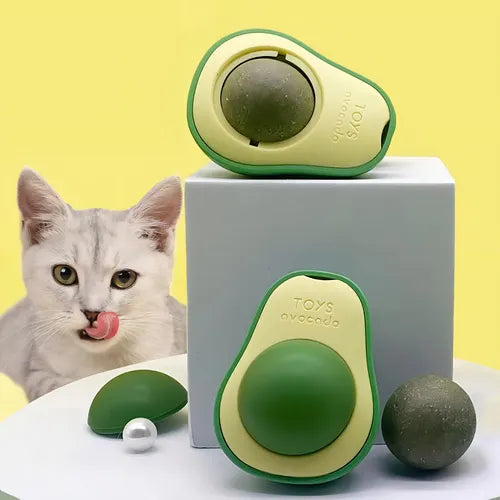 CANTNIP AGUACATE GATO