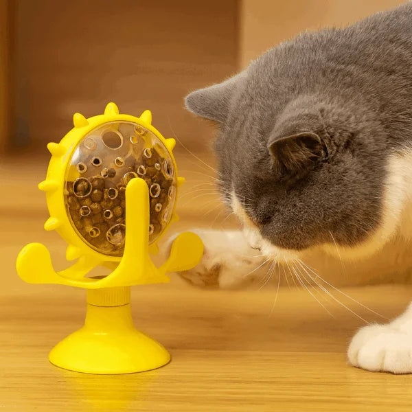 RUEDA DE COMIDA PARA GATOS.